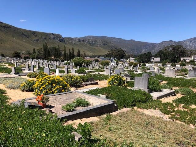 Hermanus Cemetery via Robin Lee