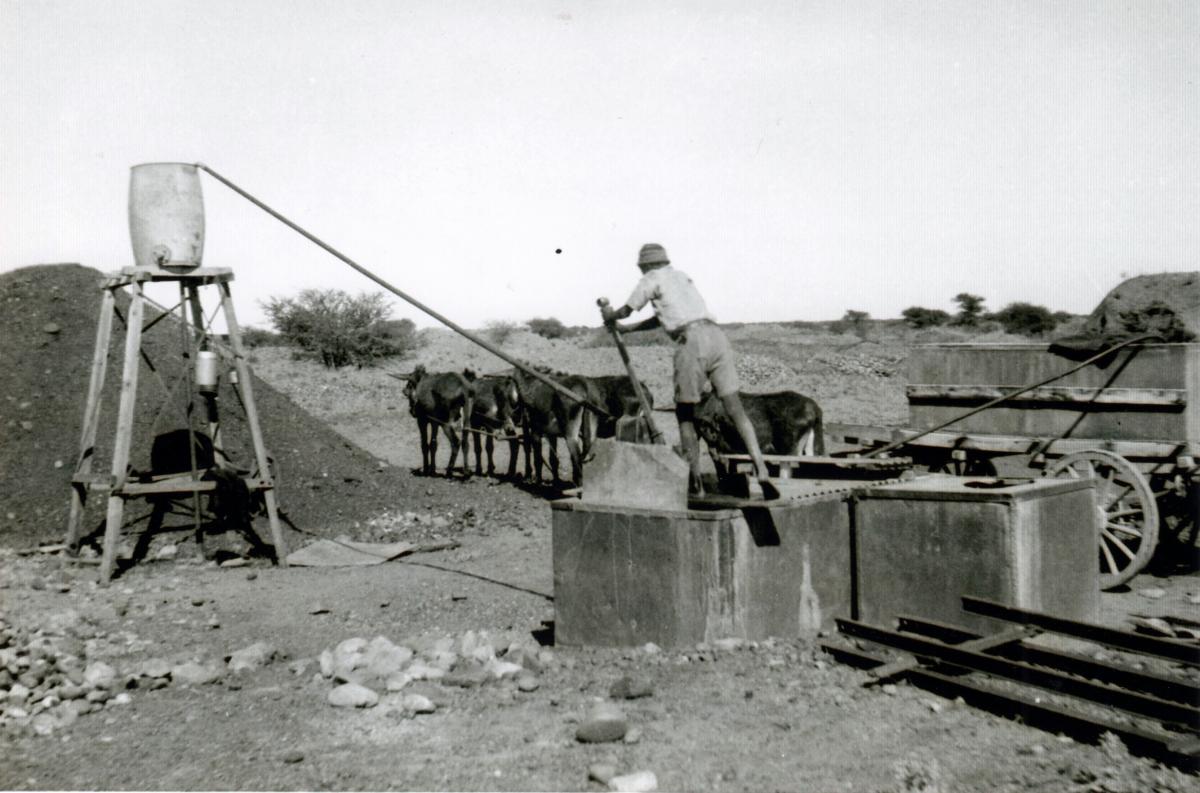 Holpan Diggings - Donkey cart bringing in water to high tank
