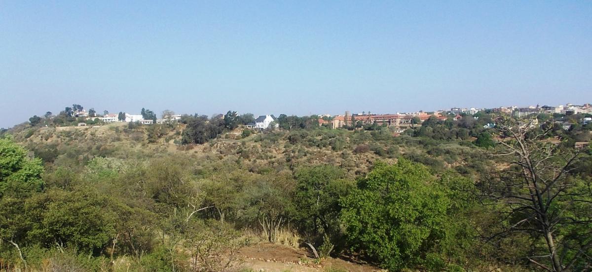 Houghton Ridge from the Wilds - Heritage Portal - 2013