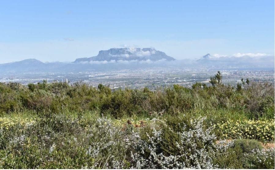 Image for Cape of Good Hope Valley Farms talk