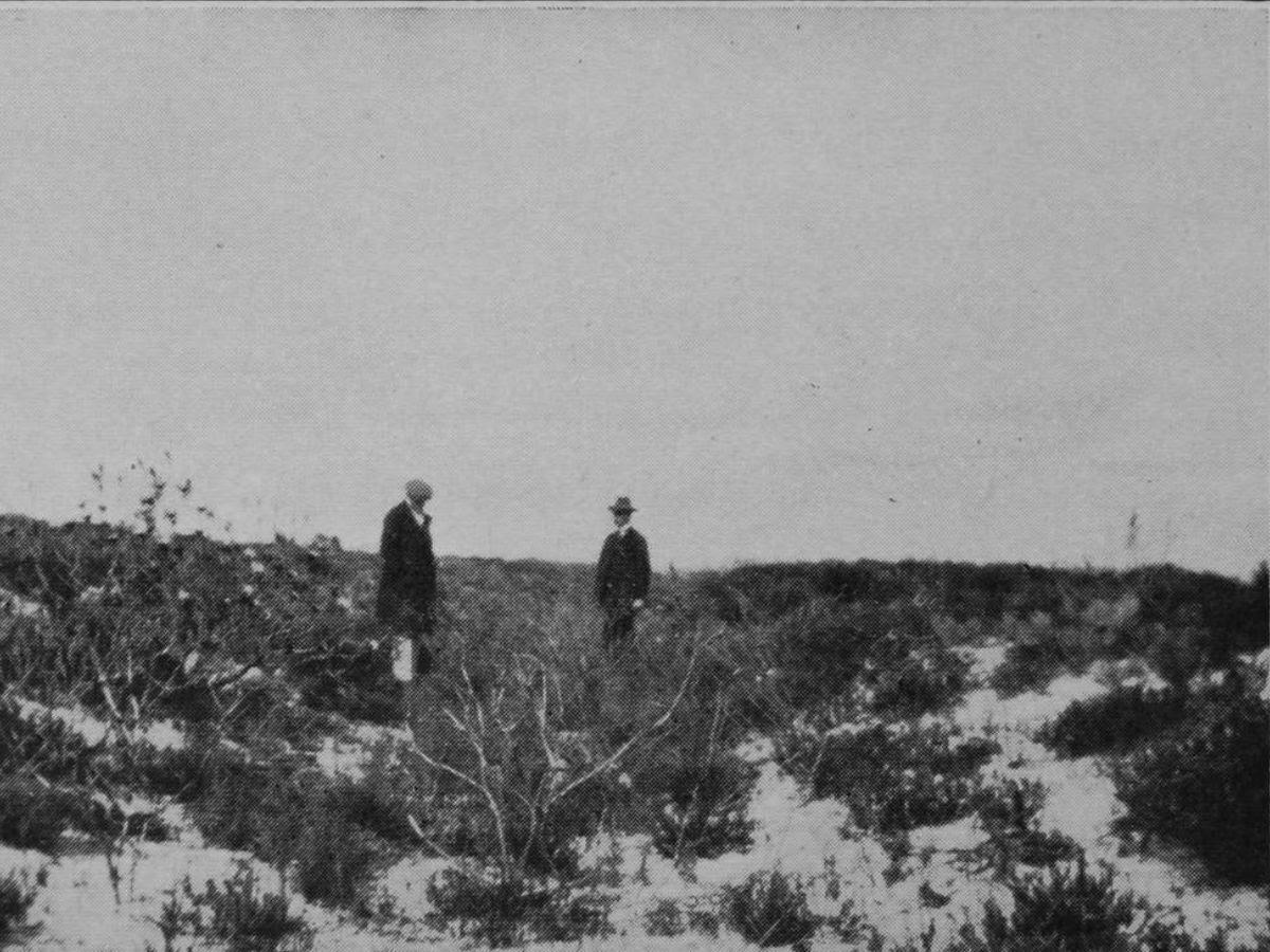 Image from Old Cape Highways by E E Mossop