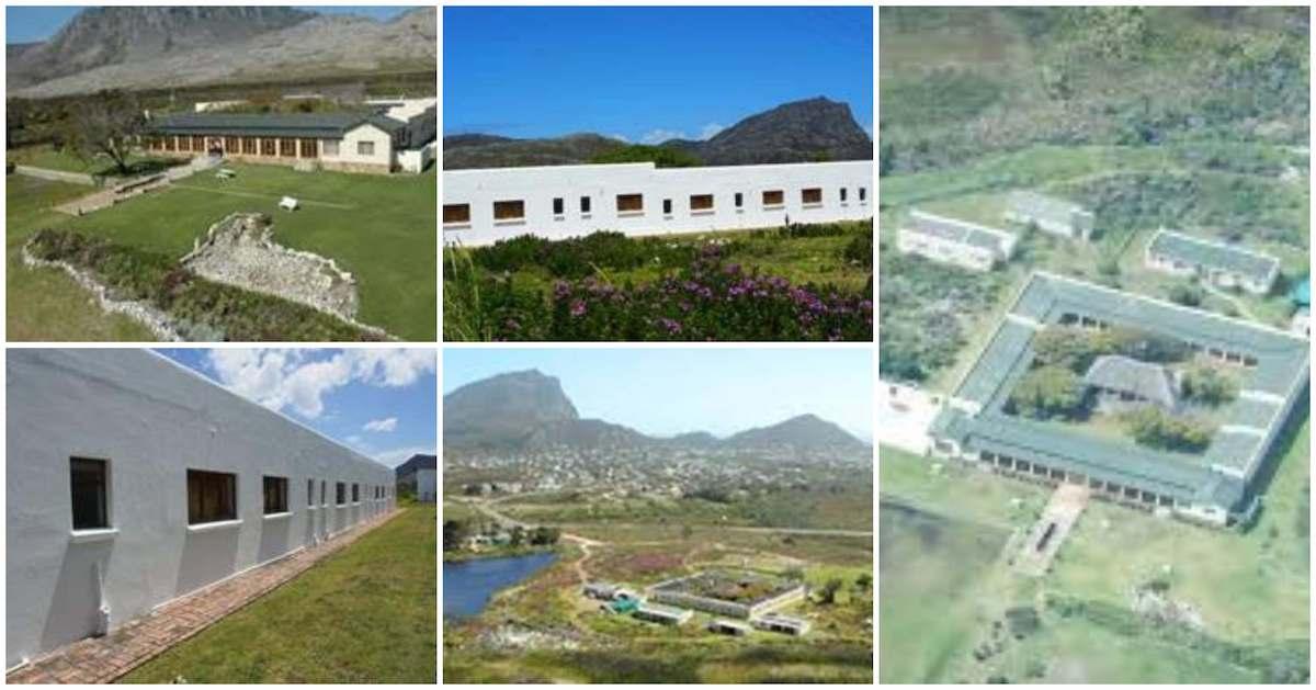 POW Collage Pringle Bay