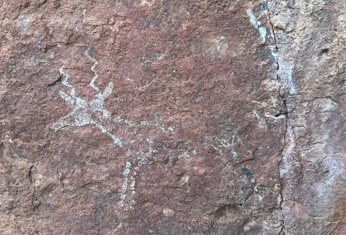 Rock Art of the Waterberg - South African Archaeological Society