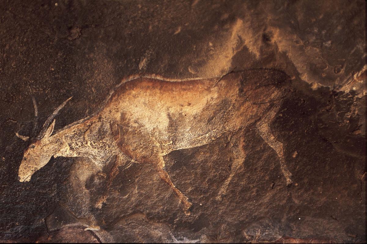 Rock art painting of an eland - Wits University