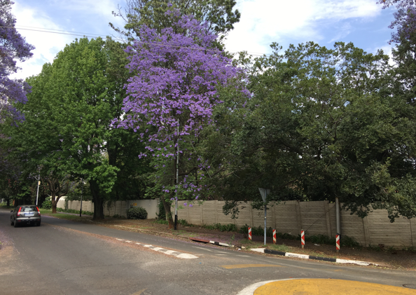 Streetscape at 21-23 Melrose Street