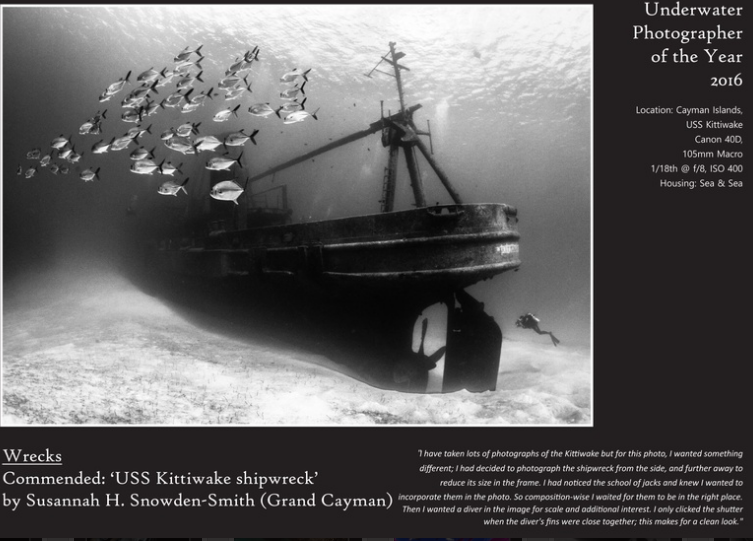 Underwater Photographer of the Year 2016 - Exhibition banner