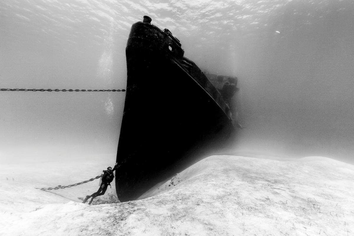 Underwater Photographer of the Year Exhibition 2016