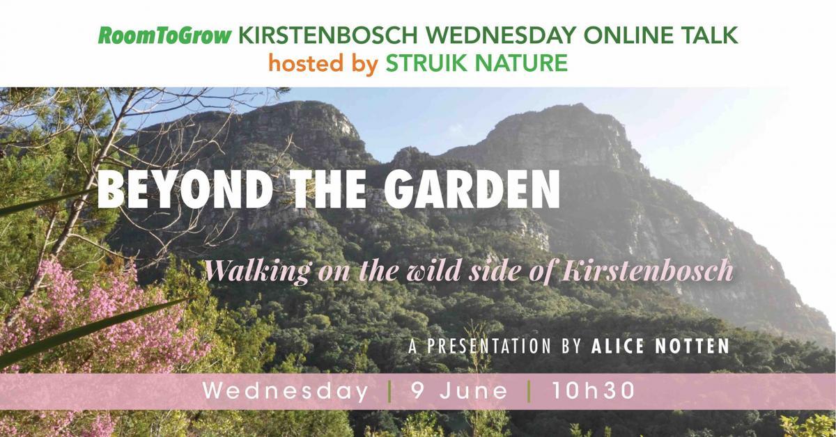 Walking on the wild side of Kirstenbosch - 9 June 2021