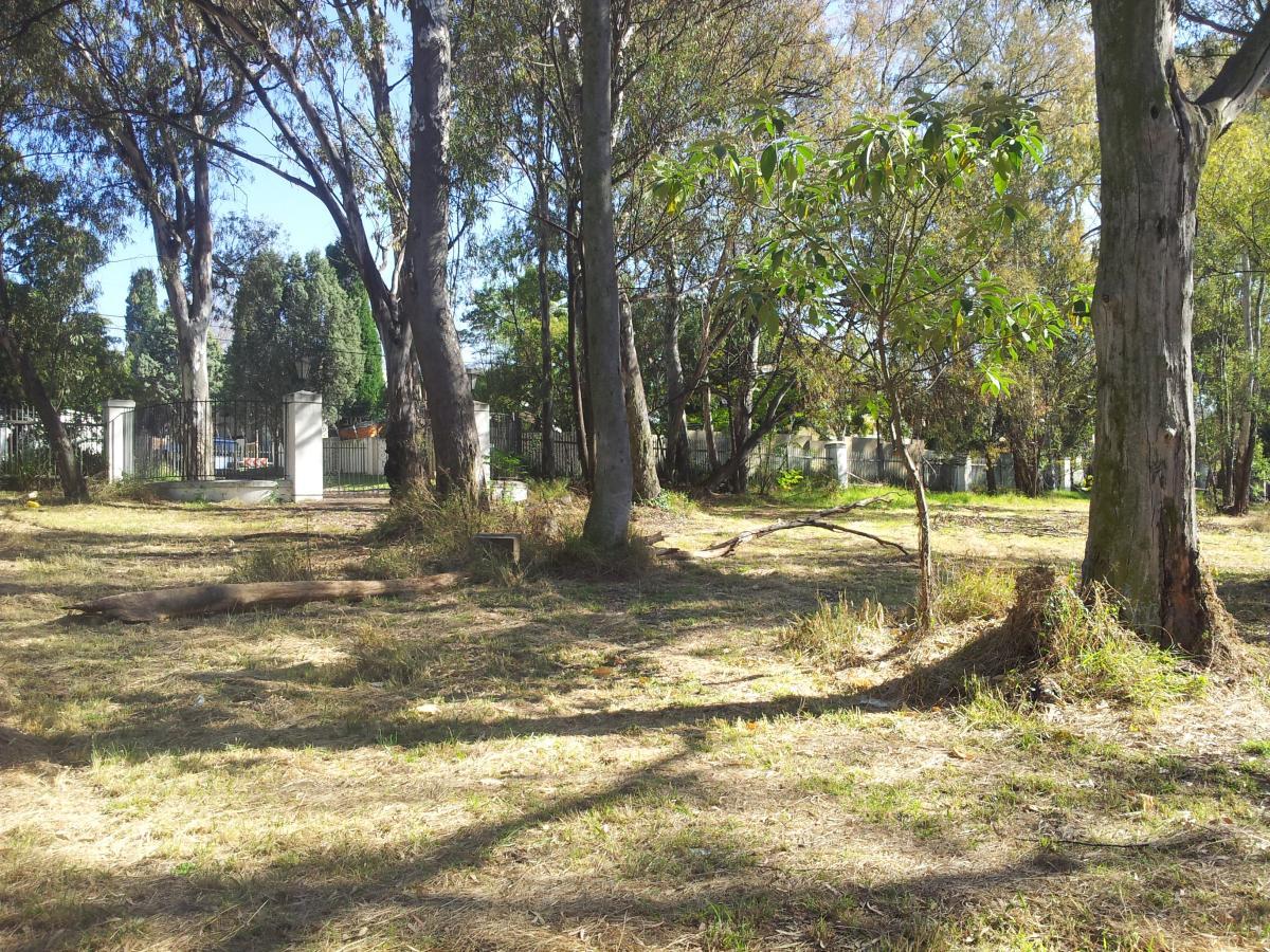 Glaser Estate - Morningside - Heritage Portal - 2013